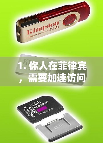 1. 你人在菲律宾,需要加速访问中国或其他地区的网络(例如玩国服游戏、看国内视频)