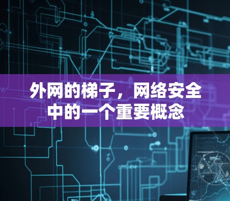 外网的梯子,网络安全中的一个重要概念