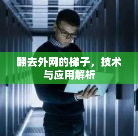 翻去外网的梯子,技术与应用解析