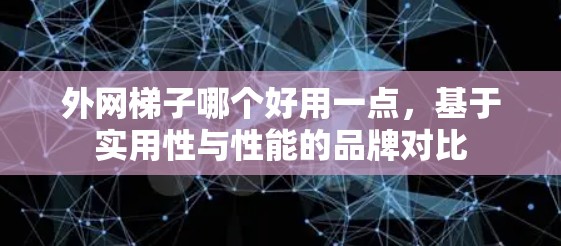 外网梯子哪个好用一点,基于实用性与性能的品牌对比