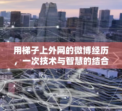 用梯子上外网的微博经历,一次技术与智慧的结合
