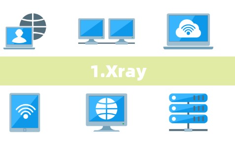 1.Xray