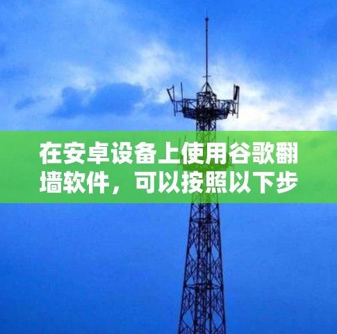 在安卓设备上使用谷歌翻墙软件,可以按照以下步骤进行