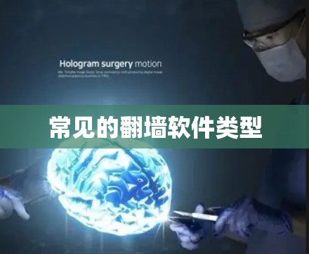 常见的翻墙软件类型