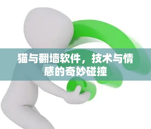 猫与翻墙软件,技术与情感的奇妙碰撞