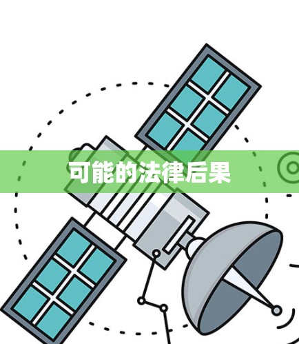 可能的法律后果