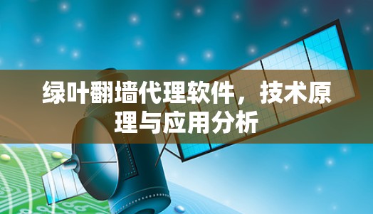 绿叶翻墙代理软件,技术原理与应用分析