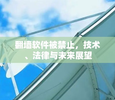 翻墙软件被禁止,技术、法律与未来展望