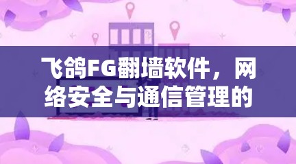飞鸽FG翻墙软件，网络安全与通信管理的双重挑战