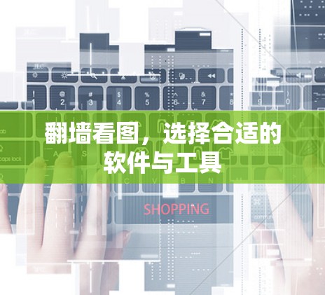 翻墙看图,选择合适的软件与工具