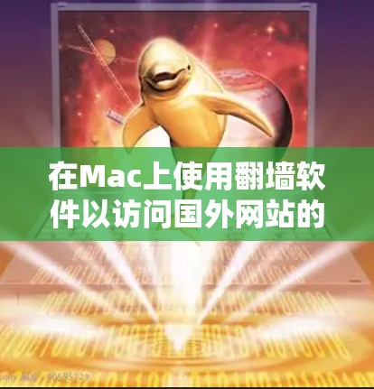 在Mac上使用翻墙软件以访问国外网站的步骤如下