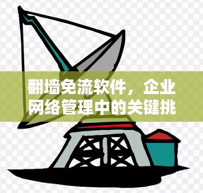 翻墙免流软件,企业网络管理中的关键挑战与解决方案