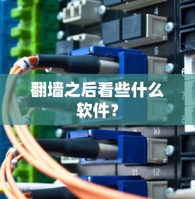 翻墙之后看些什么软件?