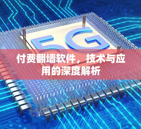 付费翻墙软件，技术与应用的深度解析