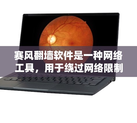 赛风翻墙软件是一种网络工具,用于绕过网络限制,访问被屏蔽或限制访问的网站。以下是使用赛风翻墙软件的基本步骤 赛风翻墙软件是一种网络工具,用于绕过网络限制,访问被屏蔽或限制访问的网站。以下是使用赛风翻墙软件的基本步骤