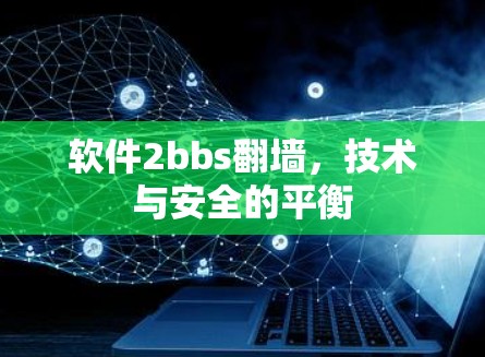 软件2bbs翻墙,技术与安全的平衡