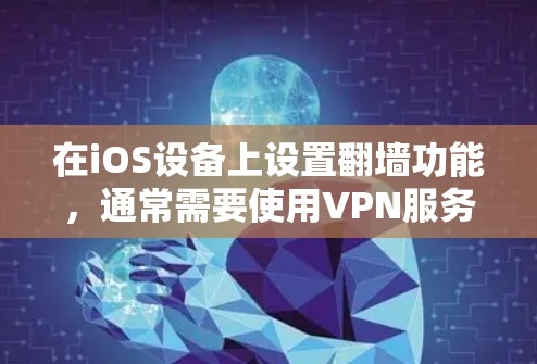 在iOS设备上设置翻墙功能,通常需要使用VPN服务。以下是详细的步骤指南