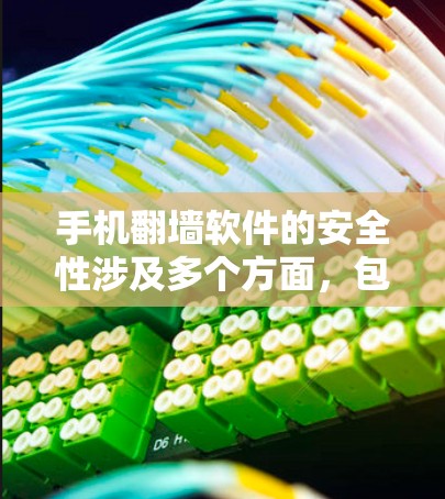 手机翻墙软件的安全性涉及多个方面,包括法律、技术和隐私保护。以下是对这些方面的详细分析