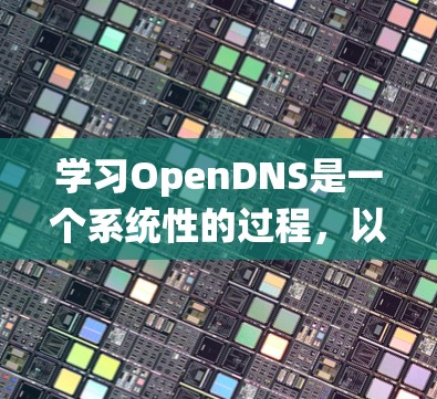 学习OpenDNS是一个系统性的过程,以下是分步骤的指南,帮助您逐步掌握OpenDNS的使用方法 学习OpenDNS是一个系统性的过程,以下是分步骤的指南,帮助您逐步掌握OpenDNS的使用方法