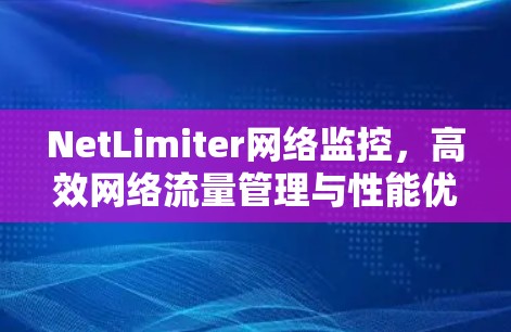 NetLimiter网络监控,高效网络流量管理与性能优化 NetLimiter网络监控,高效网络流量管理与性能优化