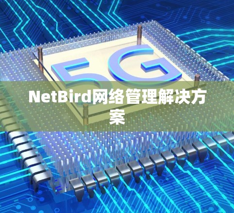 NetBird网络管理解决方案 NetBird网络管理解决方案