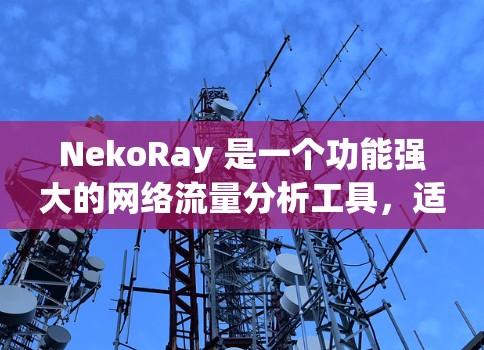 NekoRay 是一个功能强大的网络流量分析工具，适用于网络优化、安全监控等多种场景。以下是使用 NekoRay 的分步指南