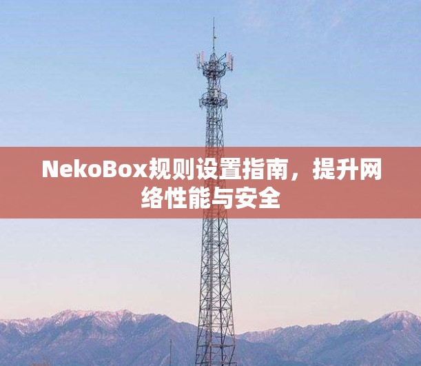 NekoBox规则设置指南,提升网络性能与安全 NekoBox规则设置指南,提升网络性能与安全