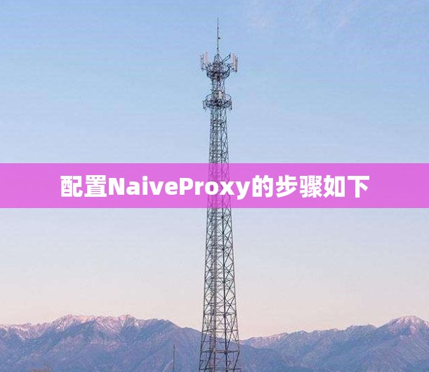 配置NaiveProxy的步骤如下 配置NaiveProxy的步骤如下