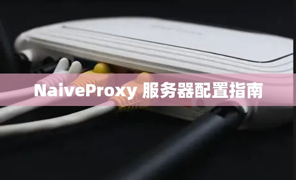 NaiveProxy 服务器配置指南 NaiveProxy 服务器配置指南