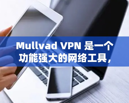 Mullvad VPN 是一个功能强大的网络工具,适用于多种场景,包括隐私保护、安全访问、网络监控和合规性。以下是使用Mullvad VPN的详细指南 Mullvad VPN 是一个功能强大的网络工具,适用于多种场景,包括隐私保护、安全访问、网络监控和合规性。以下是使用Mullvad VPN的详细指南
