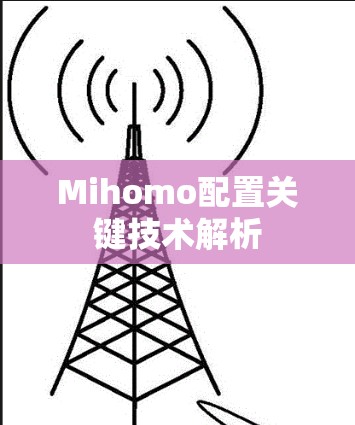 Mihomo配置关键技术解析 Mihomo配置关键技术解析