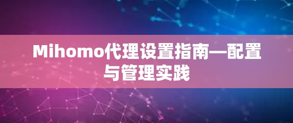 Mihomo代理设置指南—配置与管理实践