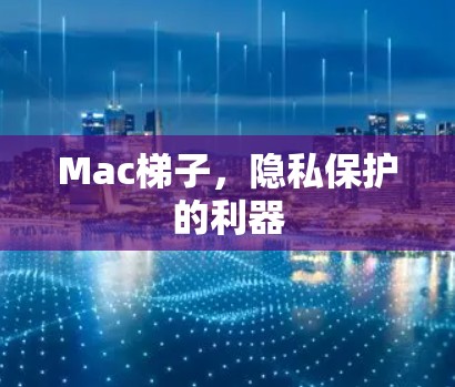 Mac梯子，隐私保护的利器
