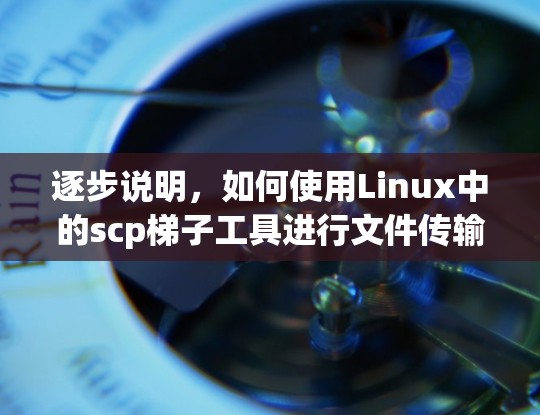 逐步说明,如何使用Linux中的scp梯子工具进行文件传输 逐步说明,如何使用Linux中的scp梯子工具进行文件传输