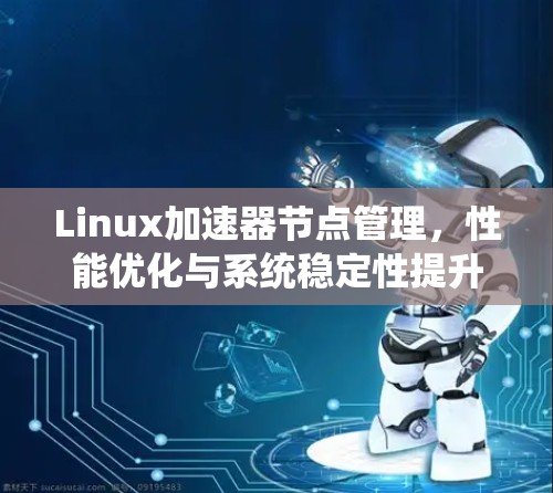 Linux加速器节点管理，性能优化与系统稳定性提升