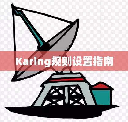 Karing规则设置指南 Karing规则设置指南