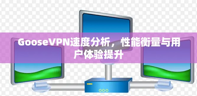 GooseVPN速度分析,性能衡量与用户体验提升 GooseVPN速度分析,性能衡量与用户体验提升