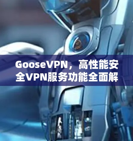 GooseVPN,高性能安全VPN服务功能全面解析 GooseVPN,高性能安全VPN服务功能全面解析