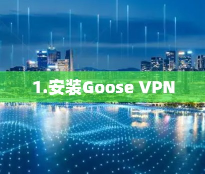 1.安装Goose VPN 1.安装Goose VPN