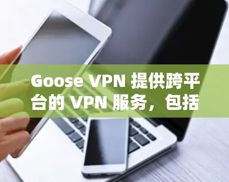 Goose VPN 提供跨平台的 VPN 服务,包括电脑、手机和平板等多种设备。用户可以通过其官网或应用商店下载相应的客户端,安装并配置。以下是关于 Goose VPN 电脑版客户端的一些详细信息 Goose VPN 提供跨平台的 VPN 服务,包括电脑、手机和平板等多种设备。用户可以通过其官网或应用商店下载相应的客户端,安装并配置。以下是关于 Goose VPN 电脑版客户端的一些详细信息