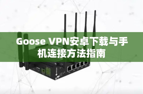 Goose VPN安卓下载与手机连接方法指南