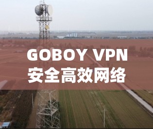 GOBOY VPN安全高效网络通讯解决方案说明 GOBOY VPN安全高效网络通讯解决方案说明