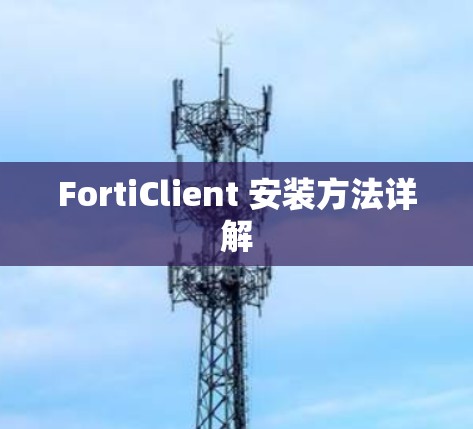 FortiClient 安装方法详解 FortiClient 安装方法详解