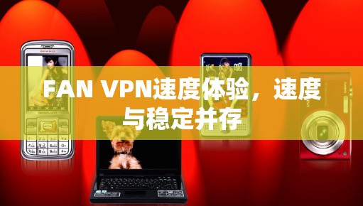 FAN VPN速度体验,速度与稳定并存 FAN VPN速度体验,速度与稳定并存