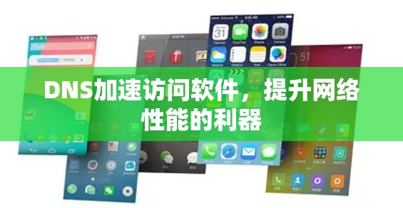 DNS加速访问软件,提升网络性能的利器 DNS加速访问软件,提升网络性能的利器
