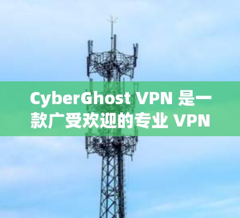 CyberGhost VPN 是一款广受欢迎的专业 VPN 工具,适合需要保护隐私和安全的用户。以下是对该 VPN 的详细分析和总结 CyberGhost VPN 是一款广受欢迎的专业 VPN 工具,适合需要保护隐私和安全的用户。以下是对该 VPN 的详细分析和总结
