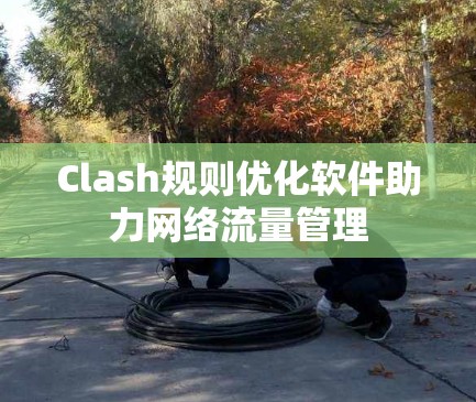 Clash规则优化软件助力网络流量管理 Clash规则优化软件助力网络流量管理