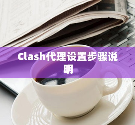 Clash代理设置步骤说明 Clash代理设置步骤说明