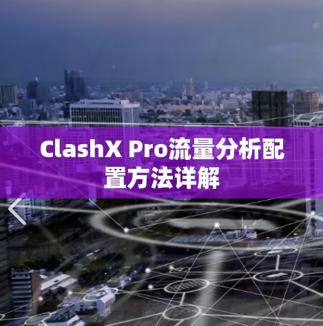 ClashX Pro流量分析配置方法详解 ClashX Pro流量分析配置方法详解