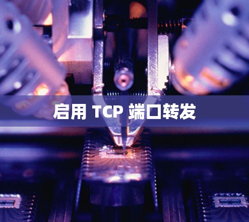 启用 TCP 端口转发 启用 TCP 端口转发